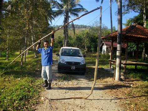 Petua elakkan ular masuk rumah. HT Resort, Paya Terap, Perik, Kuala Nerang, Kedah.: Tetamu ...