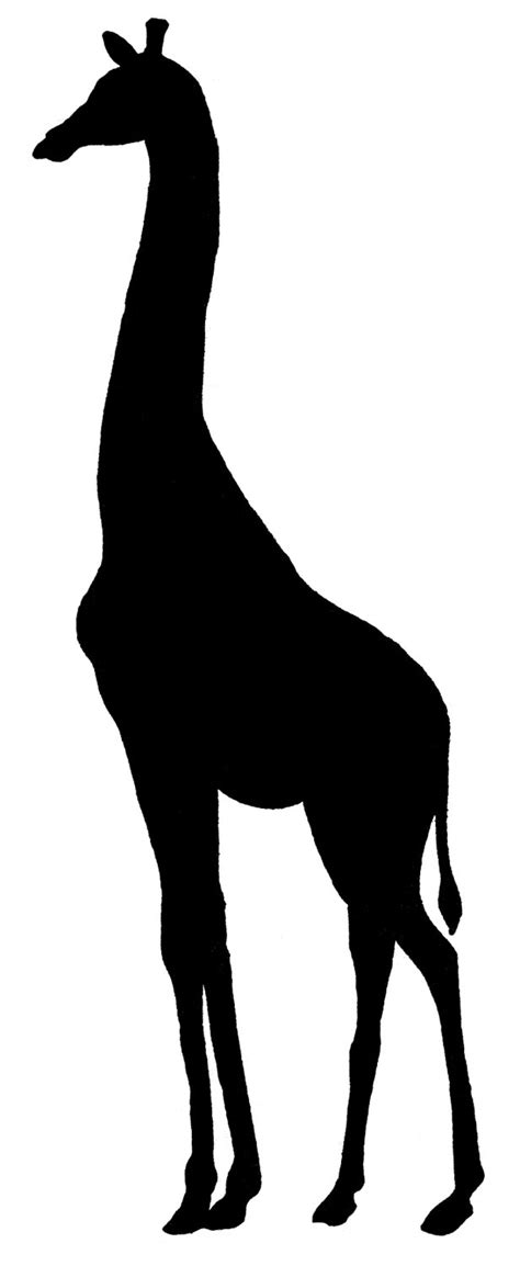 Giraffe Head Silhouette Clipart Best