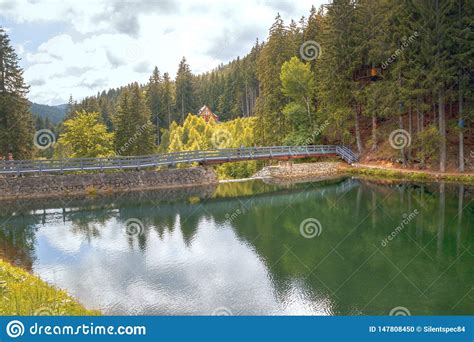 Lake Water Landscape Forest Nature Sky River Tree Reflection