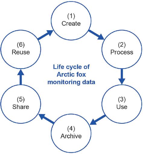 Simplified Data Life Cycle Of An Arctic Fox Monitoring Project Figure