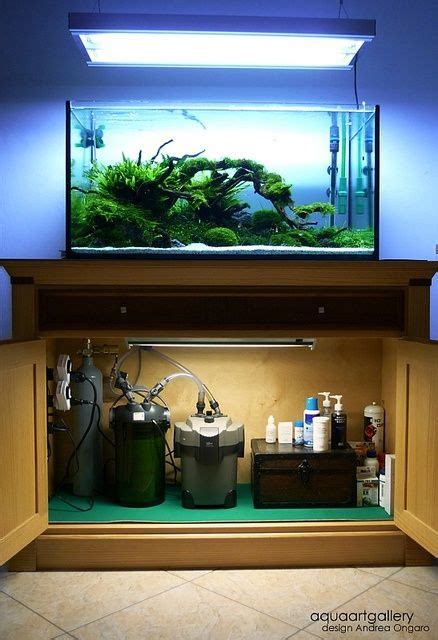 Dream Aquarium Fish Tanks Polizmagnet
