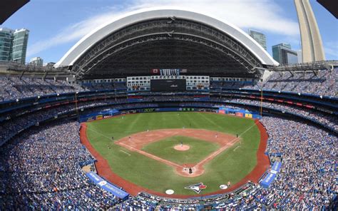 Toronto Blue Jays Stadium Dude