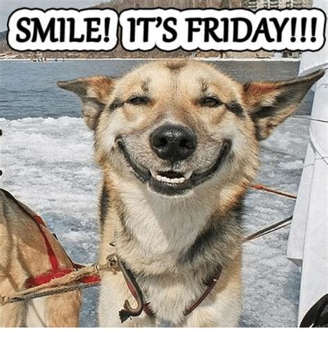 The gateway to the sacred weekend! SMILE! ITS FRIDAY!!! | Friday Meme on ME.ME