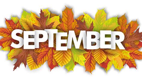 September Letters In Colorful Leaves White Background Hd September