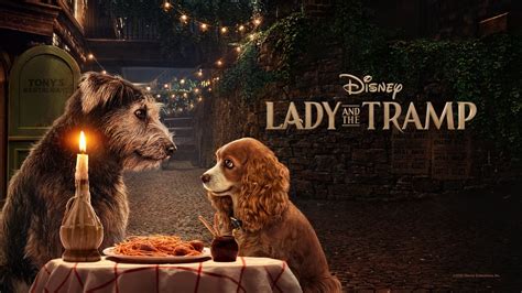 Lady And The Tramp Movie Review And Ratings By Kids
