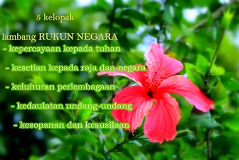 The rukunegara or sometimes rukun negara (malay for national principles) is the malaysian declaration of national philosophy instituted by royal proclamation on merdeka day, 1970, in reaction to a serious race riot known as the may 13 incident which occurred in 1969. Bunga Raya