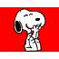 Snoopy  Peanuts Wallpaper 26798379 Fanpop