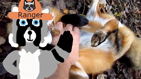 Ranger Ricky Foxes Cut Off Version Youtube