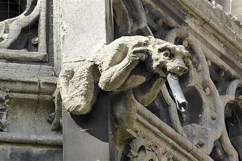 Filegargoyle On Our Lady And The English Martyrs Church Cambridge