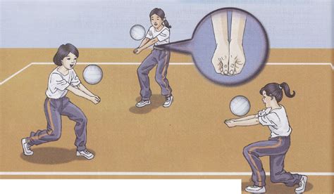 Disebabkan banyak serangan memerlukan pemain menyentuh bola di atas jaring, kebolehan. Tree Builder: Kaitan Menyangga dengan Anatomi dan Fisiologi