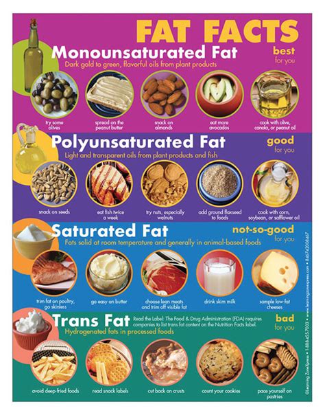 Know The Facts About Fats Harvard Health