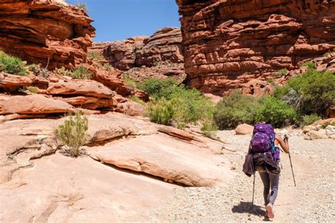 Havasu Falls Hiking And Camping Travel Guide Lavi Was Here