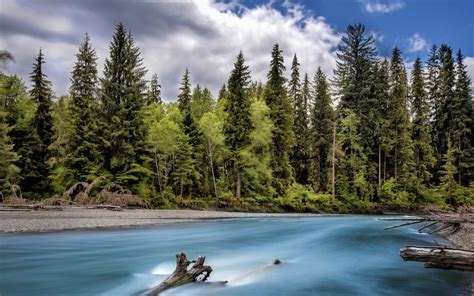 River Hoh In Olympia National Forest Washington Hd Wallpaper 557525