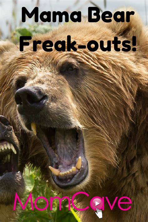 Mama Bear Freak Outs A Practical Guide Momcave Tv