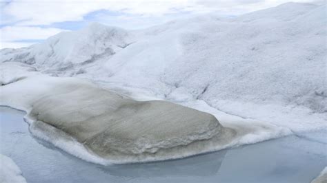 Microscopic Life Is Melting Greenlands Ice Sheet Cnn