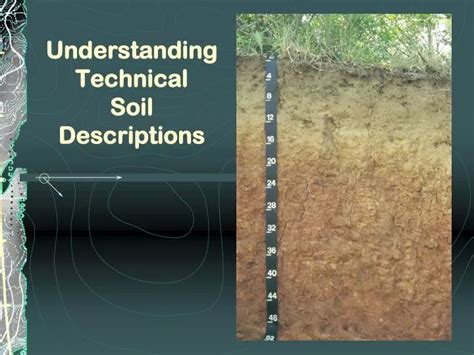 Ppt Understanding Technical Soil Descriptions Powerpoint Presentation