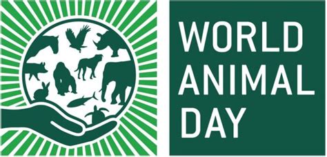 World Animal Day How To Celebrate Animal Rights