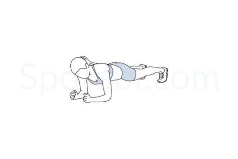 Plank Illustrated Exercise Guide