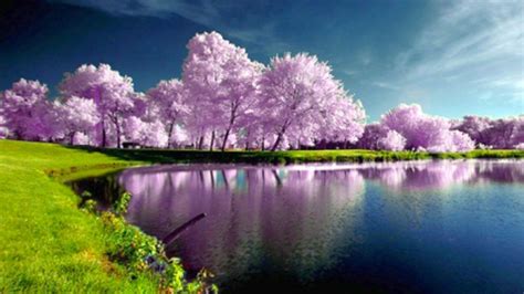 10 Most Popular Wallpapers Hd Nature Spring Full Hd 1080p