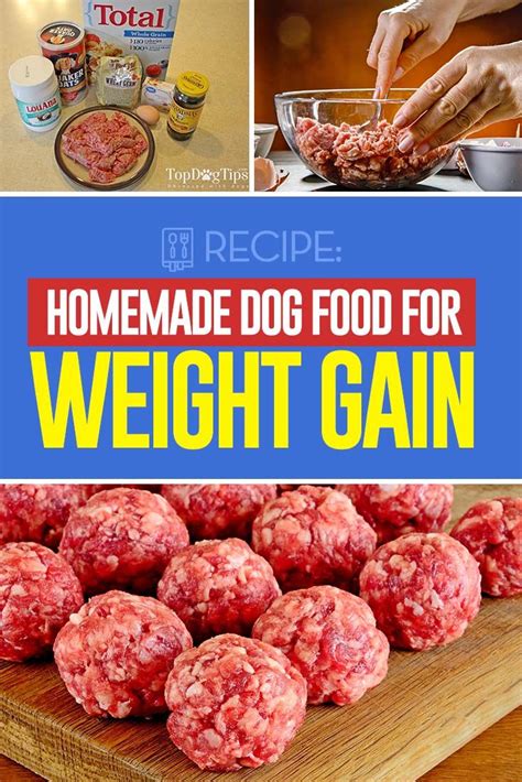 Top 5 rated ingredients for best diabetic dog food homemade. Pin on Top Dog Tips