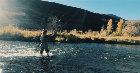 Fly Fish The Middle Provo River Heber City Utah