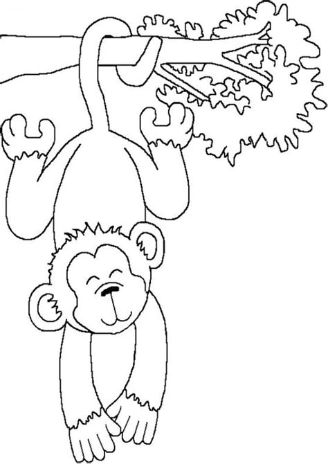 Free And Easy To Print Monkey Coloring Pages Monkey Coloring Pages