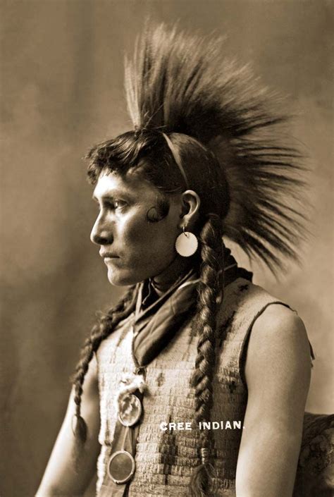 Cree Man 1900 Native American Peoples Native American Images