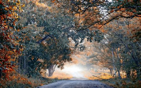 Fog Autumn Trees Ten Road Landscape Wallpapers Hd Desktop And