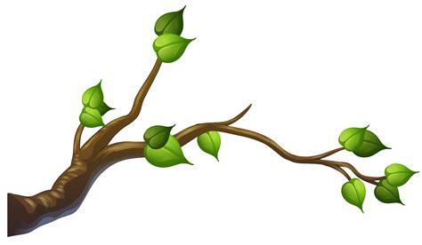 Free Tree Branch Vector Eps Illustrator Png Svg Template Net The Best Porn Website