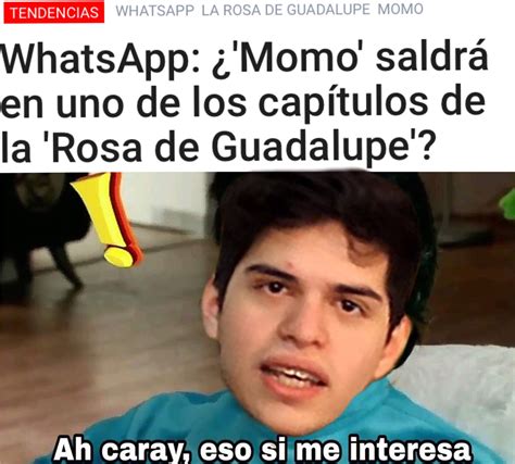 La Rosa De Guadalupe Se Renueva Meme Subido Por Martuxfinn Memedroid