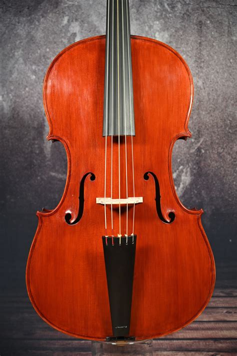 Reghino 5 Saiter Cello Violoncello Piccolo Master Work From Ro Ebay