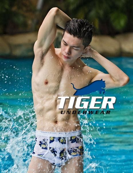 Tiger Underwear Mens Pdf Catalog 10