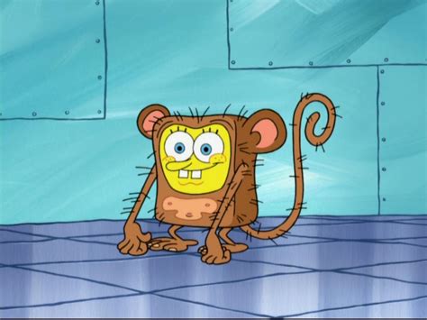 The two episodes of spongebob squarepants have been pulled from streaming on paramount+ and are no longer available to purchase on amazon prime. Perfect Chemistry - Encyclopedia SpongeBobia - The ...