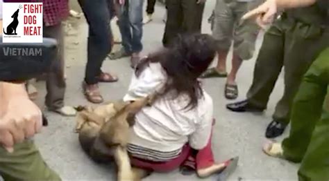 Vietnam Female Dog Thief Caught Beat Up And Arrested
