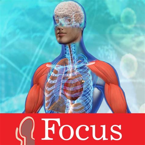 Animated Essential Atlas By Focus Medica