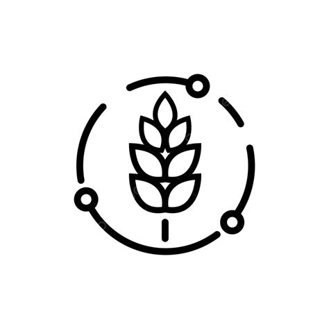 Vector Template Of Wheat Icon Linear Illustration Of Whole Grain Symbol