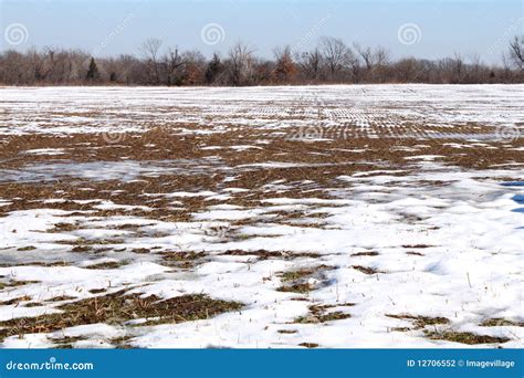 Snowy Field Stock Photo Image Of Field Dirty Farmer 12706552