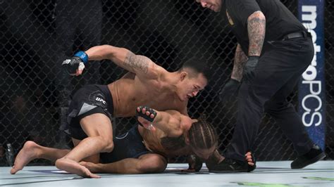 New Study With Mma Fighters Shows Plant Based Protein Produces Same