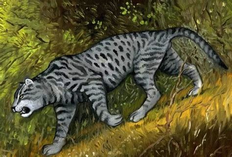 Wanna See Something Weird — The Mngwa Is A Huge Cat Like Cryptid Found