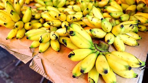 What Is A Manzano Banana Heres What To Know About The Adorable Tiny
