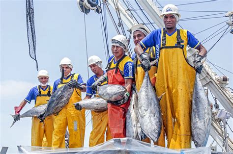 Perú Mejora Atractivo Para Inversiones En Sector Pesca Para Consumo