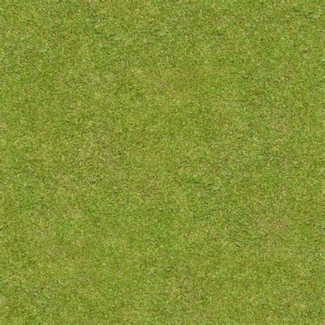 Short Flattened Green Grass With Thick Blades Texture Is Consistent