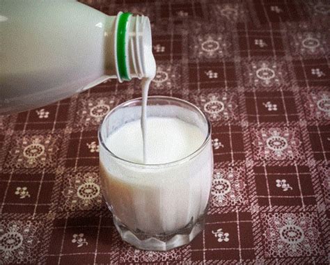 چه زمانی شیر بخوریم بهتر است؟ بهداشت نیوز