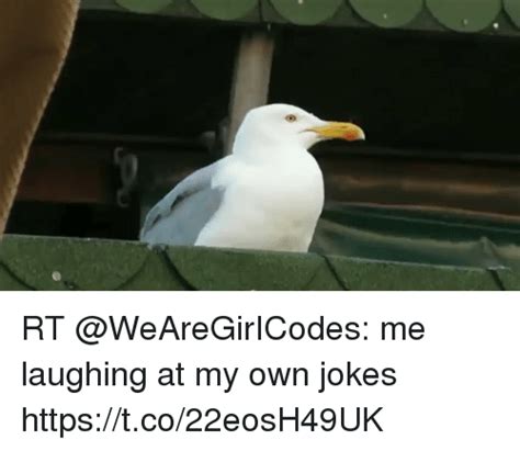 Rt Me Laughing At My Own Jokes Tco22eosh49uk Jokes Meme On Sizzle