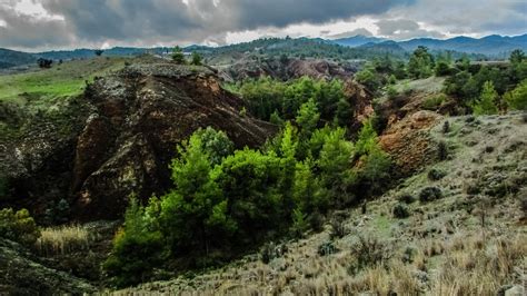 Free Images Landscape Tree Nature Forest Wilderness Winter