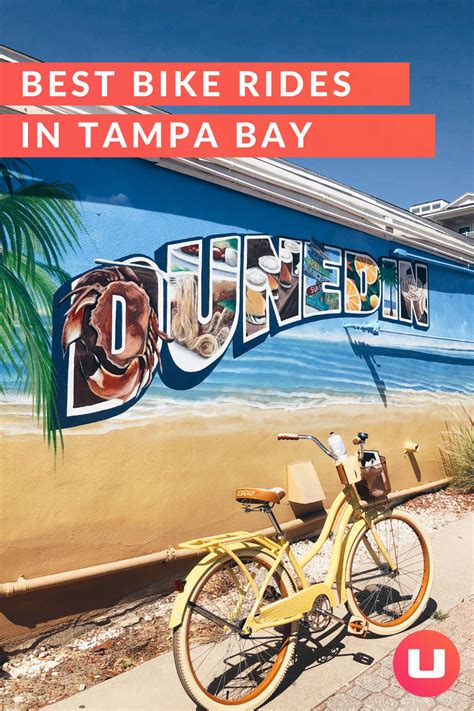 best bike trails in tampa bay exploring tampa bay by bike is so fun we ve curated a list of