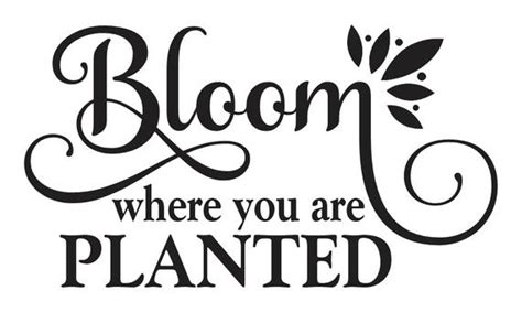 This design is great for cutting (please make sure the file format is compatible with your machine before purchase). Inspirational STENCIL**Bloom where you are planted**12"x20 ...