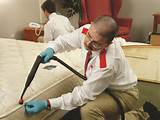 Bed Bug Treatment Indianapolis Pictures