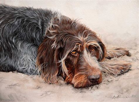 Watercolor Dog Paintings By Atelierarends 17