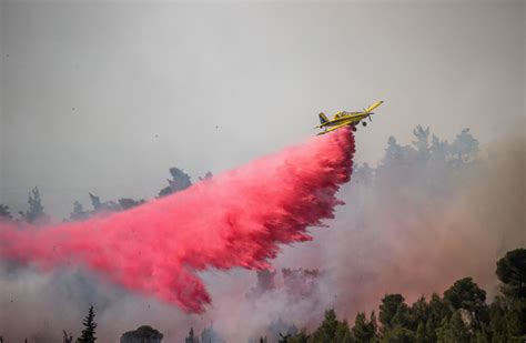 Cyprus Seeks Aid From Eu And Israel As Huge Forest Fire Rages The